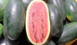 网红黑料爆料网 吃瓜网每日大赛,吃瓜网每日大赛独家爆料